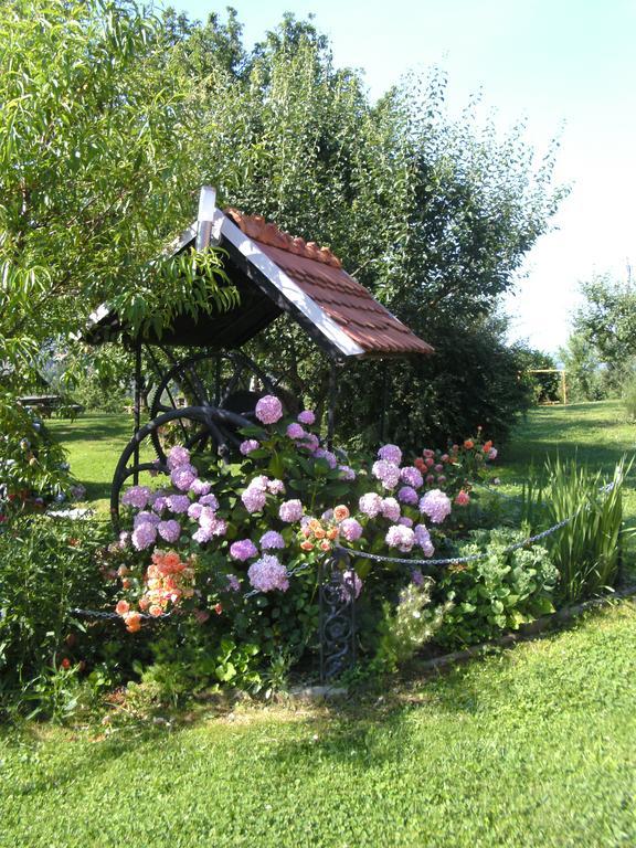 Panorama B&B Птуй Экстерьер фото