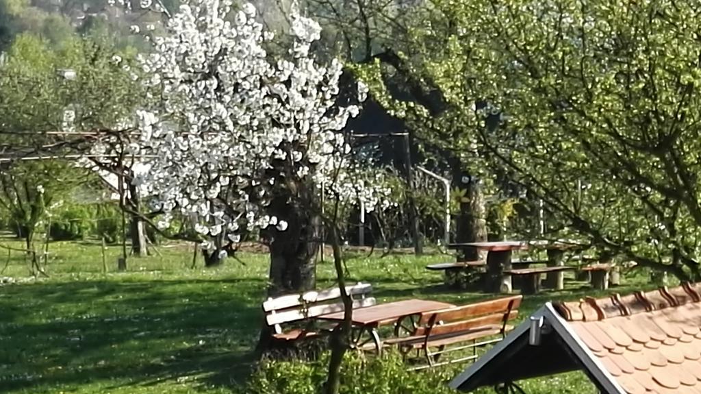 Panorama B&B Птуй Экстерьер фото