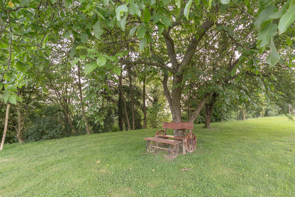 Panorama B&B Птуй Экстерьер фото