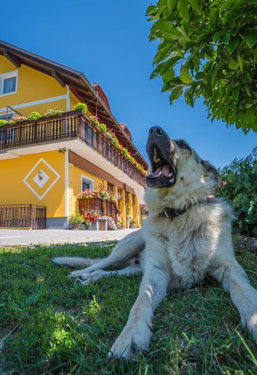 Panorama B&B Птуй Экстерьер фото