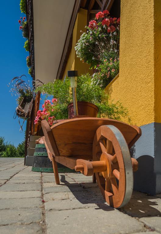 Panorama B&B Птуй Экстерьер фото