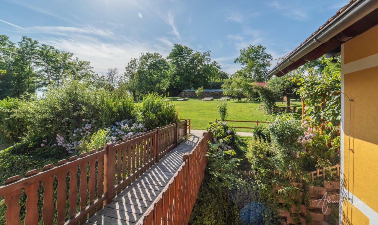 Panorama B&B Птуй Экстерьер фото